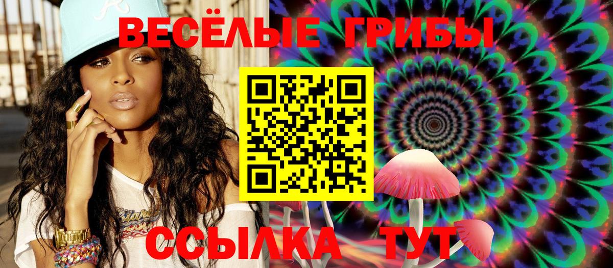 Псилоцибиновые грибы MAGIC MUSHROOMS  Псилоцибиновые грибы мицелий  Вход с VPN  Сердобск 