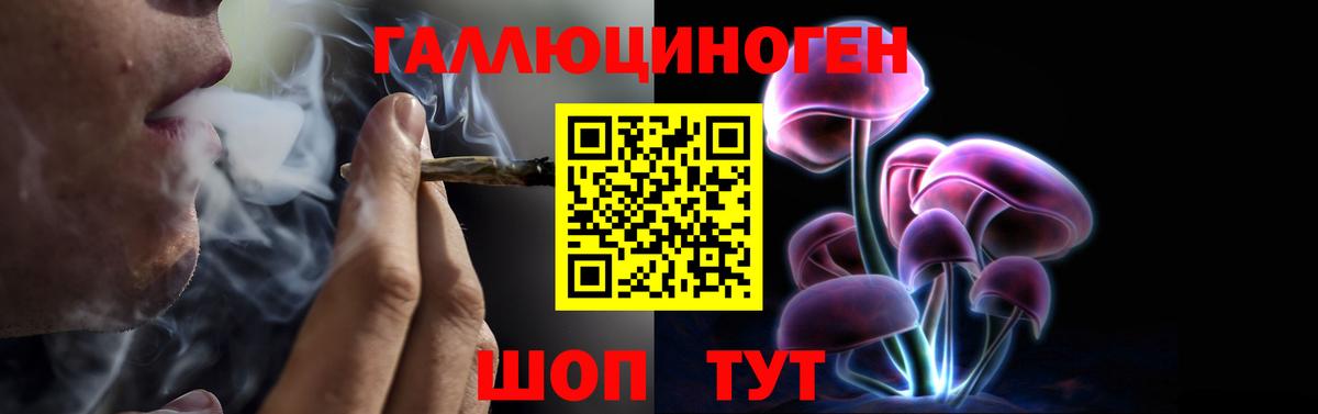 Псилоцибиновые грибы мицелий Сердобск