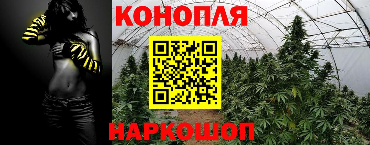Бошки Шишки THC 21% Сердобск